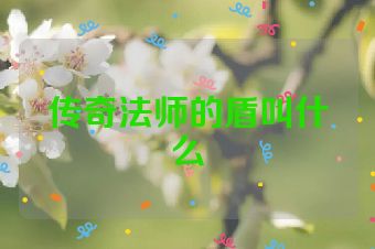 传奇法师的盾叫什么