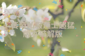 传奇私服道士超猛版本破解版