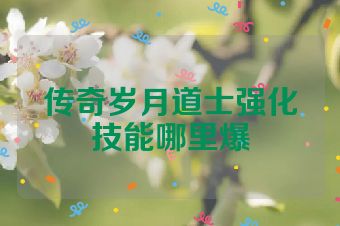 传奇岁月道士强化技能哪里爆