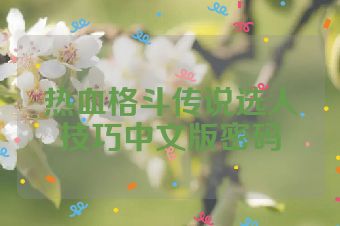 热血格斗传说选人技巧中文版密码