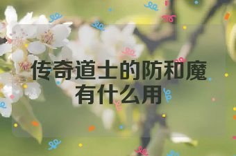 传奇道士的防和魔有什么用