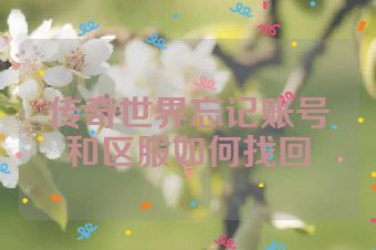 传奇世界忘记账号和区服如何找回