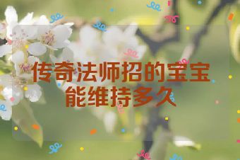 传奇法师招的宝宝能维持多久