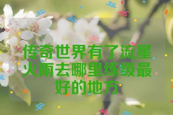 传奇世界有了流星火雨去哪里练级最好的地方