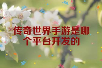 传奇世界手游是哪个平台开发的