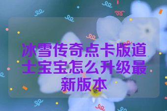 冰雪传奇点卡版道士宝宝怎么升级最新版本