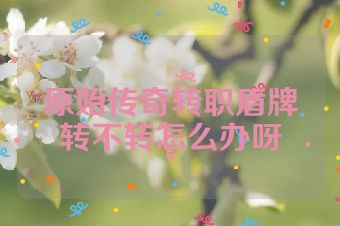 原始传奇转职盾牌转不转怎么办呀