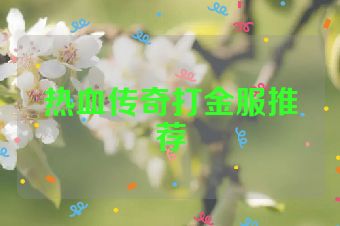 热血传奇打金服推荐