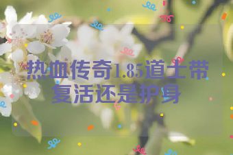 热血传奇1.85道士带复活还是护身