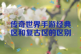 传奇世界手游经典区和复古区的区别