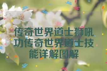 传奇世界道士狮吼功传奇世界道士技能详解图解