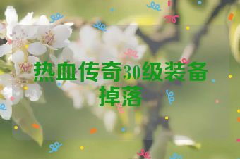 热血传奇30级装备掉落