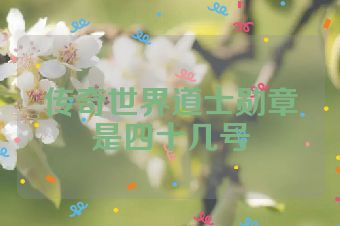 传奇世界道士勋章是四十几号
