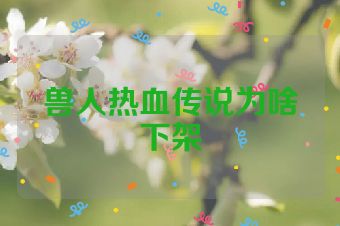 兽人热血传说为啥下架