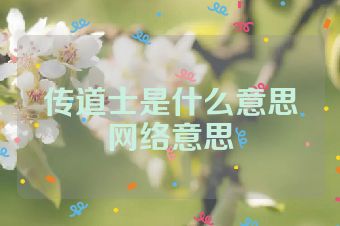传道士是什么意思网络意思