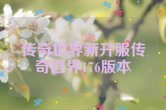 传奇世界新开服传奇世界176版本