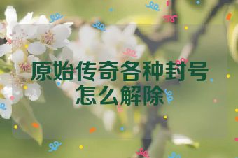 原始传奇各种封号怎么解除