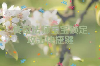传奇法师宝宝锁定攻击快捷键