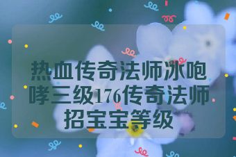 热血传奇法师冰咆哮三级176传奇法师招宝宝等级