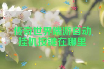 传奇世界端游自动挂机按键在哪里