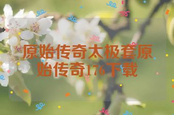 原始传奇太极套原始传奇176下载