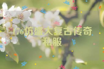 176仿盛大复古传奇私服