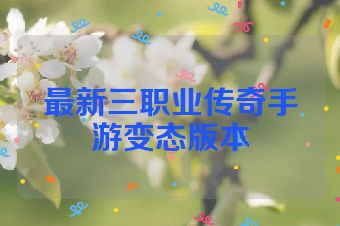 最新三职业传奇手游变态版本