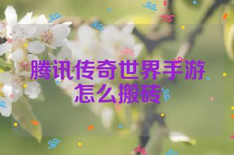 腾讯传奇世界手游怎么搬砖