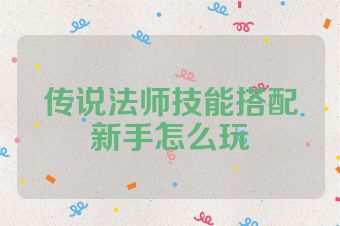 传说法师技能搭配新手怎么玩