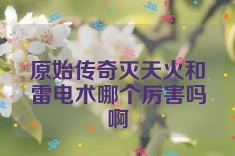 原始传奇灭天火和雷电术哪个厉害吗啊