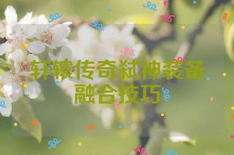 轩辕传奇弑神装备融合技巧