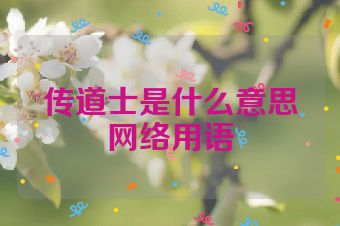 传道士是什么意思网络用语