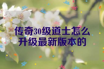 传奇30级道士怎么升级最新版本的