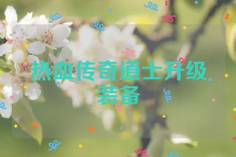 热血传奇道士升级装备