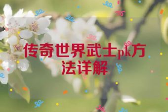 传奇世界武士pk方法详解