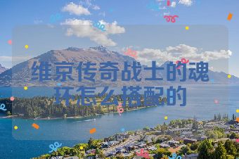 维京传奇战士的魂环怎么搭配的