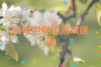 传奇世界手游攻速版
