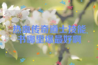 热血传奇道士技能书哪里爆最好啊