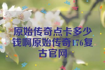 原始传奇点卡多少钱啊原始传奇176复古官网