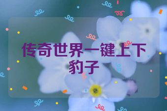 传奇世界一键上下豹子