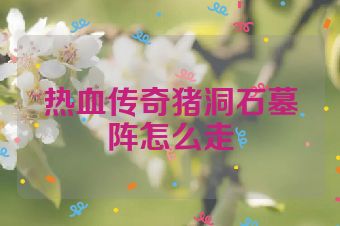 热血传奇猪洞石墓阵怎么走
