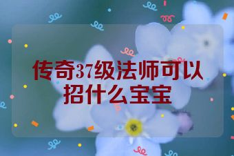 传奇37级法师可以招什么宝宝