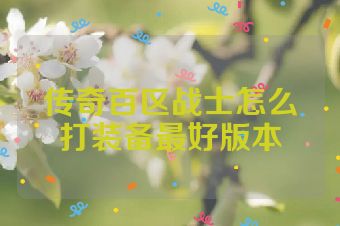 传奇百区战士怎么打装备最好版本
