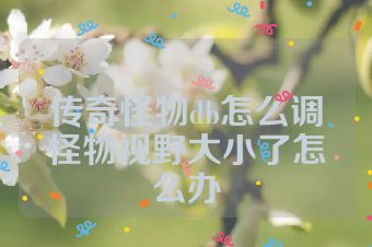 传奇怪物db怎么调怪物视野大小了怎么办