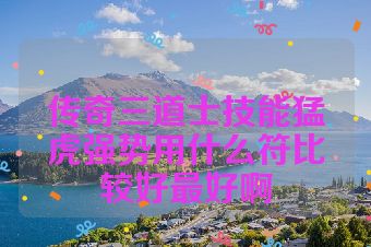 传奇三道士技能猛虎强势用什么符比较好最好啊