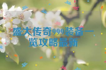 盛大传奇999装备一览攻略最新