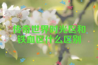 传奇世界时光区和铁血区什么区别