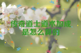 传奇道士道术加成是怎么算的