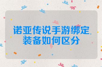 诺亚传说手游绑定装备如何区分
