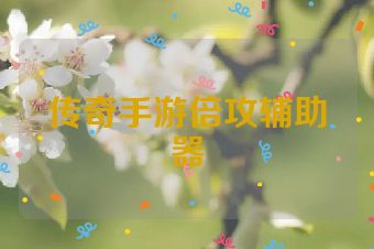 传奇手游倍攻辅助器